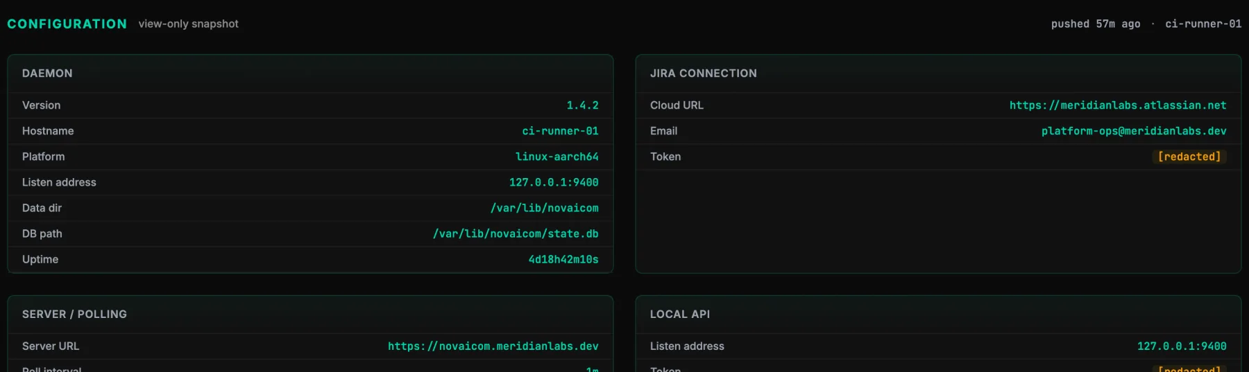 NAICOM configuration view: daemon version, hostname, platform, listen address and paths; the Jira connection showing cloud URL and email, with the token displayed as [redacted].